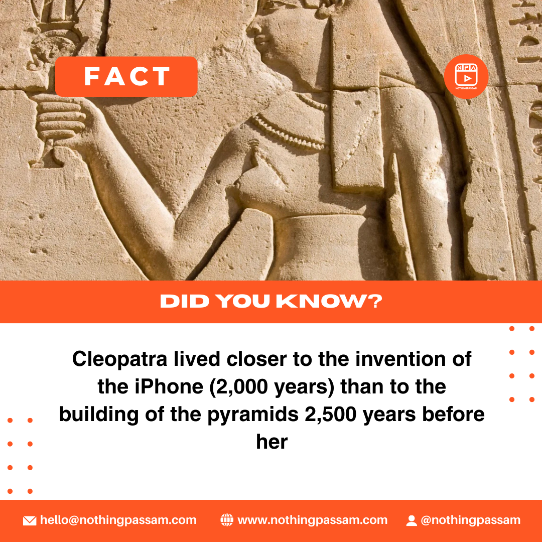 NPA Facts001