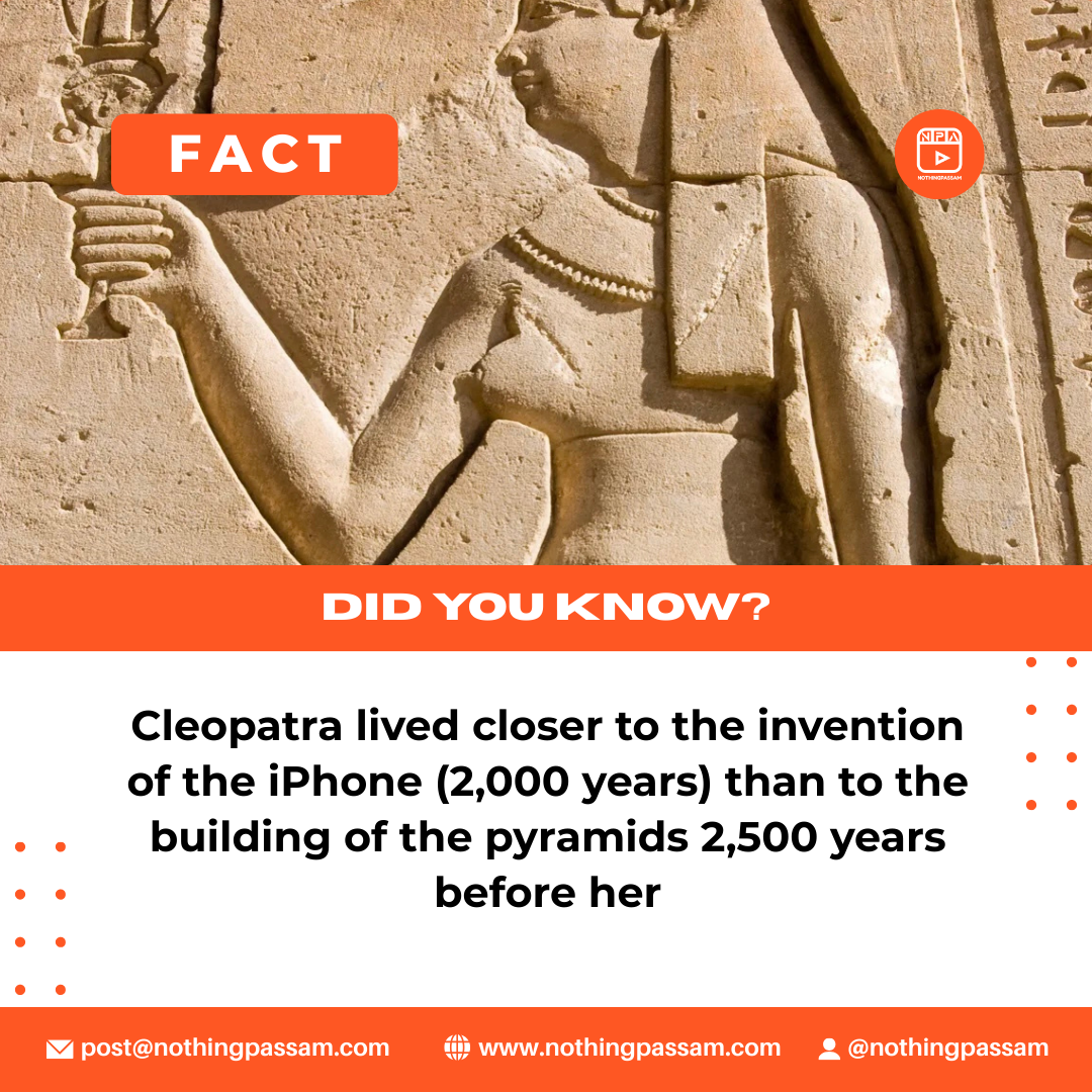 cleopatra